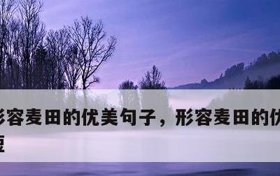 形容麦田的优美句子，形容麦田的优美句子简短