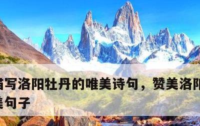 描写洛阳牡丹的唯美诗句，赞美洛阳牡丹的唯美句子