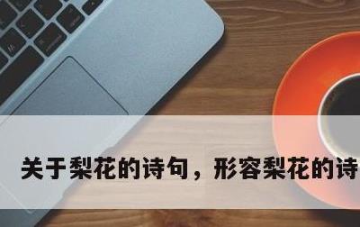 关于梨花的诗句，形容梨花的诗句古诗