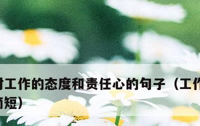 对工作的态度和责任心的句子，工作态度精辟简短