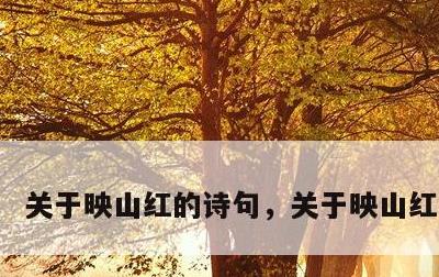 关于映山红的诗句，关于映山红的古诗