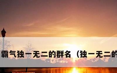 霸气独一无二的群名，独一无二的群名称