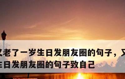 又老了一岁生日发朋友圈的句子，又老了一岁生日发朋友圈的句子致自己