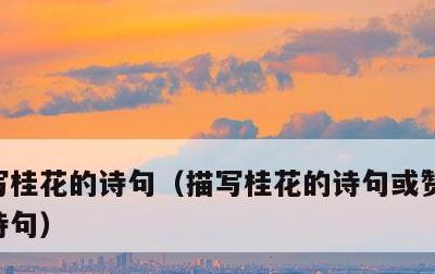 写桂花的诗句，描写桂花的诗句或赞美最好的诗句