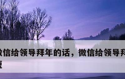 微信给领导拜年的话，微信给领导拜年的话简短