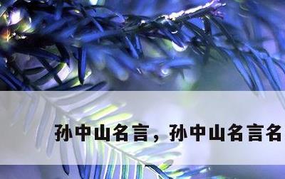 孙中山名言，孙中山名言名句