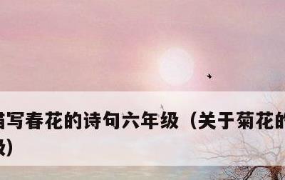 描写春花的诗句六年级，关于菊花的古诗三年级
