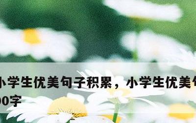 小学生优美句子积累，小学生优美句子积累100字