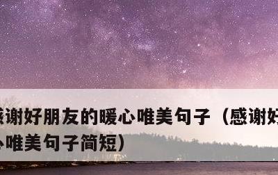 感谢好朋友的暖心唯美句子，感谢好朋友的暖心唯美句子简短
