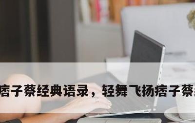 痞子蔡经典语录，轻舞飞扬痞子蔡经典语录