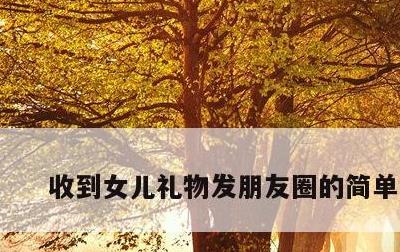 收到女儿礼物发朋友圈的简单介绍