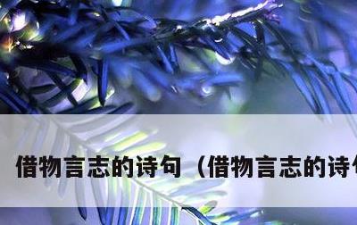 借物言志的诗句，借物言志的诗句初中
