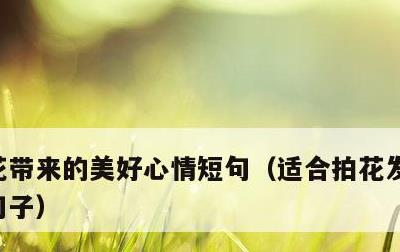 花带来的美好心情短句，适合拍花发朋友圈的句子