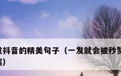 发抖音的精美句子，一发就会被秒赞的句子文案