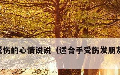 受伤的心情说说，适合手受伤发朋友圈的句子