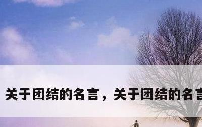 关于团结的名言，关于团结的名言和事例