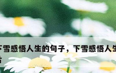 下雪感悟人生的句子，下雪感悟人生的句子图片