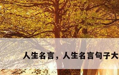 人生名言，人生名言句子大全