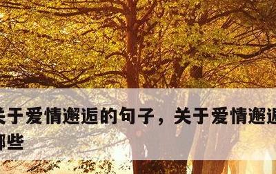关于爱情邂逅的句子，关于爱情邂逅的句子有哪些