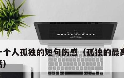 一个人孤独的短句伤感，孤独的最高境界一句话