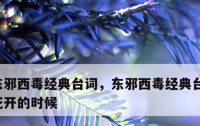 东邪西毒经典台词，东邪西毒经典台词每年桃花开的时候