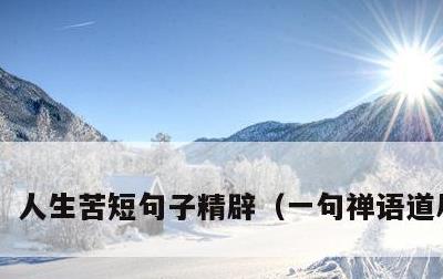 人生苦短句子精辟，一句禅语道尽人生