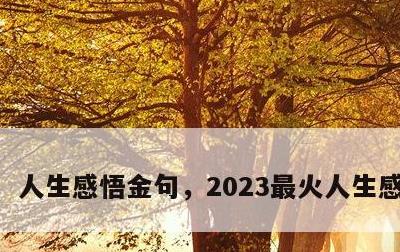 人生感悟金句，2023最火人生感悟金句