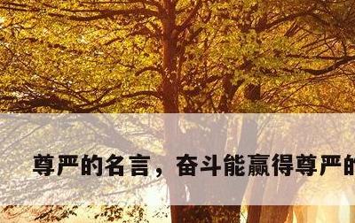 尊严的名言，奋斗能赢得尊严的名言
