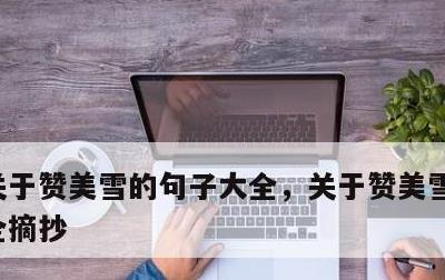 关于赞美雪的句子大全，关于赞美雪的句子大全摘抄