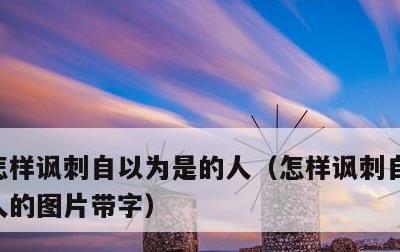 怎样讽刺自以为是的人，怎样讽刺自以为是的人的图片带字