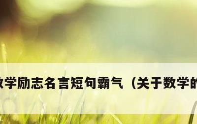 数学励志名言短句霸气，关于数学的唯美句子
