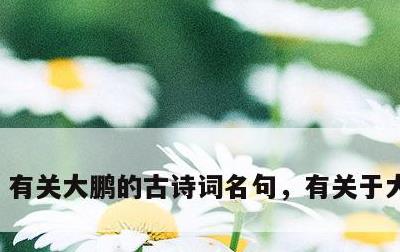 有关大鹏的古诗词名句，有关于大鹏的诗
