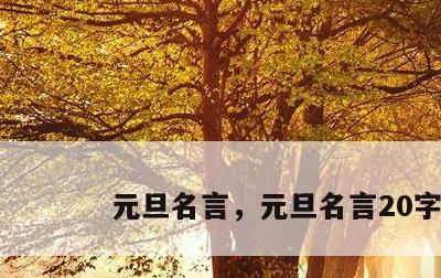 元旦名言，元旦名言20字