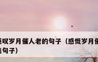 感叹岁月催人老的句子，感慨岁月催人老的唯美句子