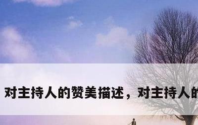 对主持人的赞美描述，对主持人的赞美词