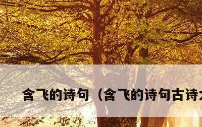 含飞的诗句，含飞的诗句古诗大全