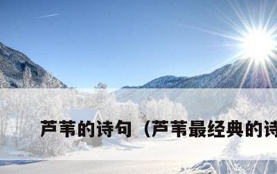 芦苇的诗句，芦苇最经典的诗句