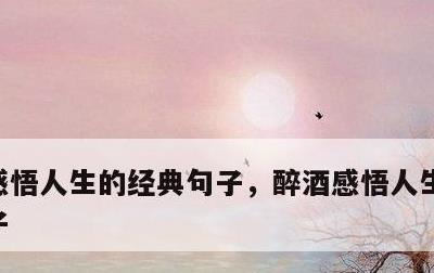 感悟人生的经典句子，醉酒感悟人生的经典句子