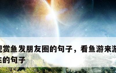 观赏鱼发朋友圈的句子，看鱼游来游去感悟人生的句子