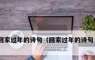 回家过年的诗句，回家过年的诗句 古诗小学
