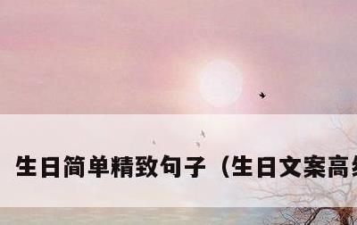 生日简单精致句子，生日文案高级简短