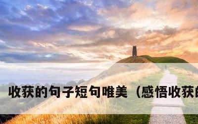 收获的句子短句唯美，感悟收获的句子