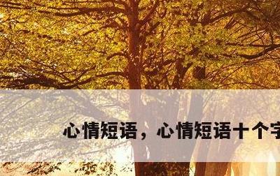 心情短语，心情短语十个字