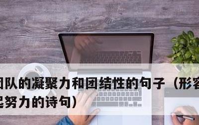 团队的凝聚力和团结性的句子，形容一群人一起努力的诗句