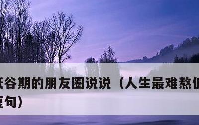 低谷期的朋友圈说说，人生最难熬低谷的日子短句