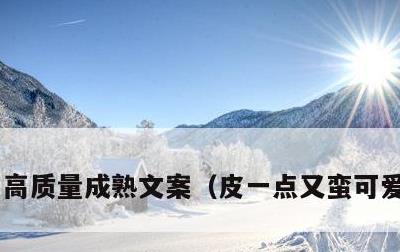 高质量成熟文案，皮一点又蛮可爱的文案