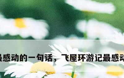 最感动的一句话，飞屋环游记最感动的一句话