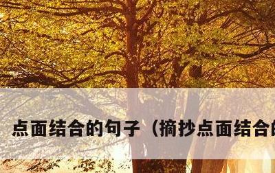 点面结合的句子，摘抄点面结合的句子