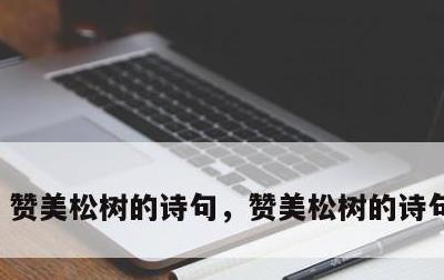 赞美松树的诗句，赞美松树的诗句怎么写