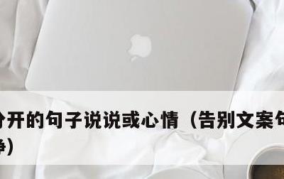 分开的句子说说或心情，告别文案句子温柔干净